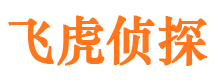 安徽市婚姻出轨调查